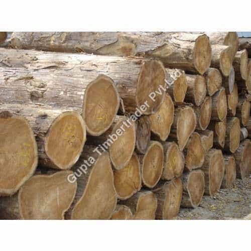 /ProductImg/CP2-Teak-Wood.jpg