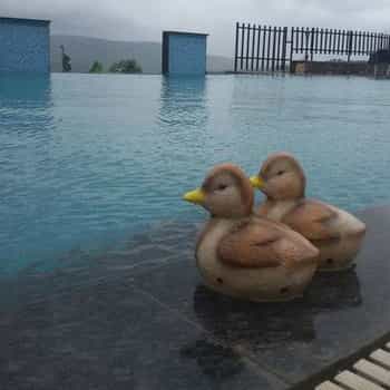 /ProductImg/Vanishing-Edge-Swimming-Pool-Construction-Services.jpg