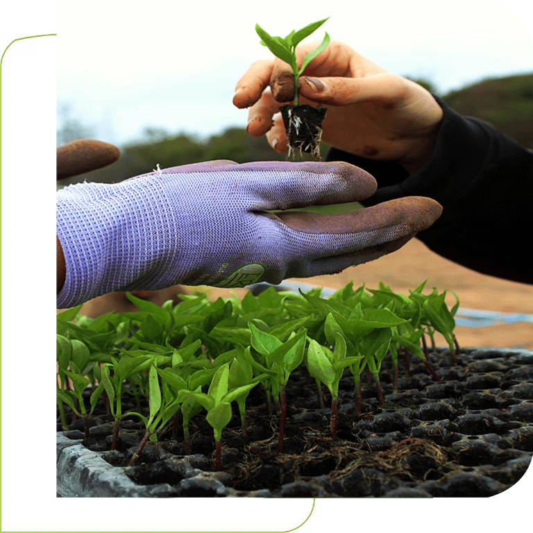 Biodegradable Expo